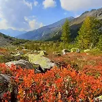 Myalpenloft 1 Deutschgriffen