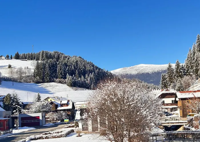 Myalpenloft 1 Apartment Deutschgriffen