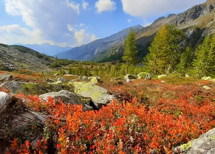 Myalpenloft 1 Deutschgriffen